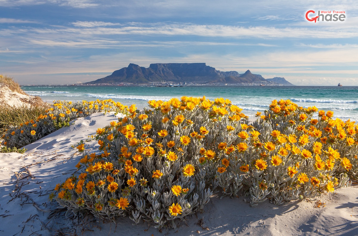 Table Mountain, Cape Town
